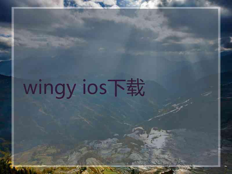 wingy ios下载