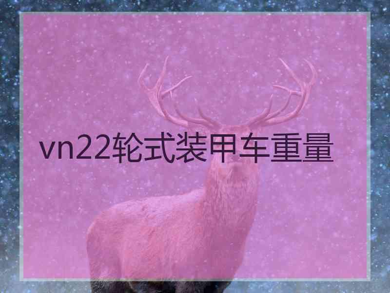 vn22轮式装甲车重量