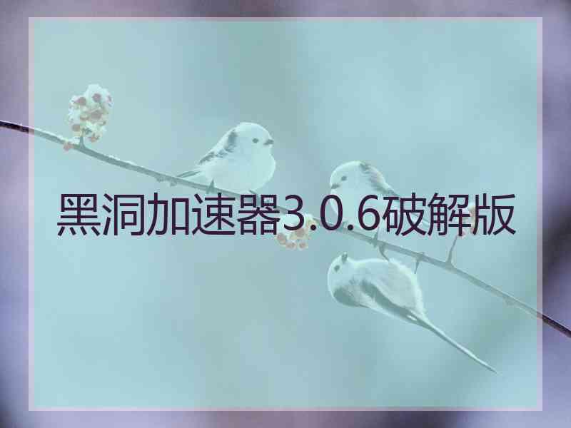 黑洞加速器3.0.6破解版