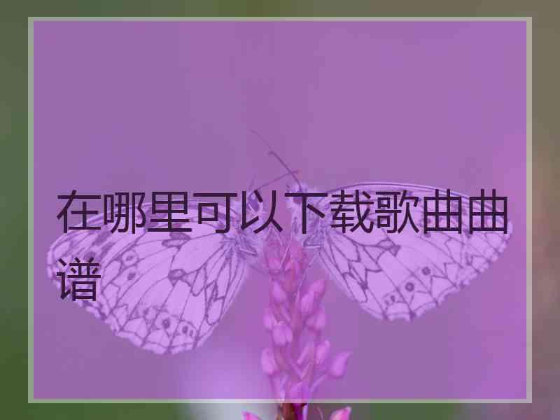 在哪里可以下载歌曲曲谱