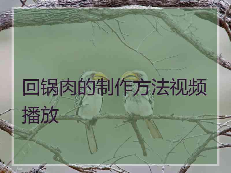 回锅肉的制作方法视频播放