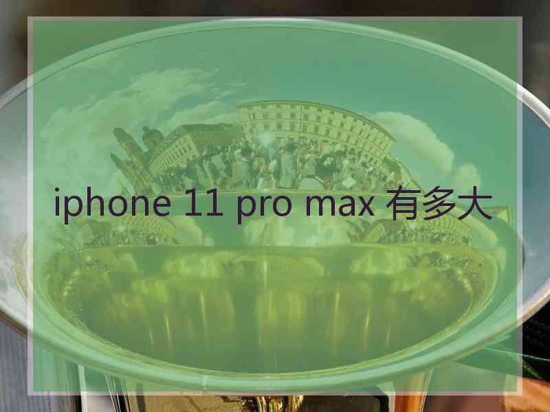 iphone 11 pro max 有多大