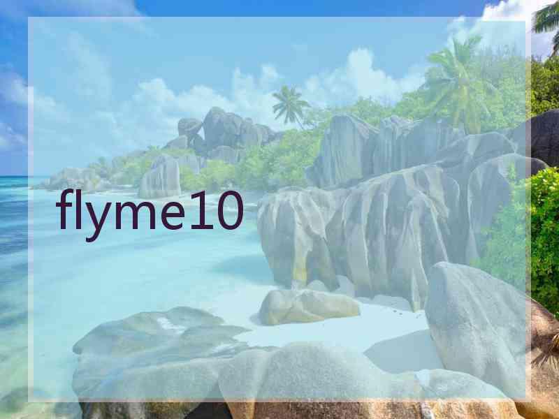 flyme10