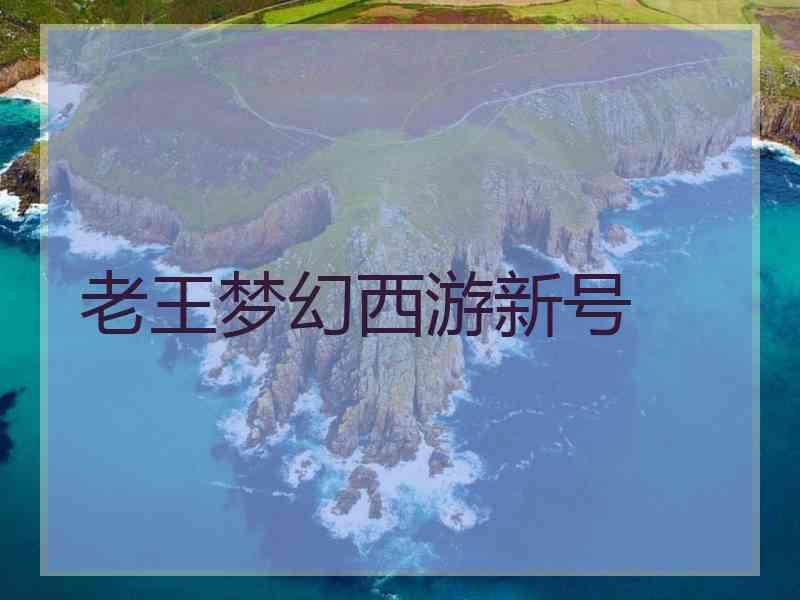 老王梦幻西游新号