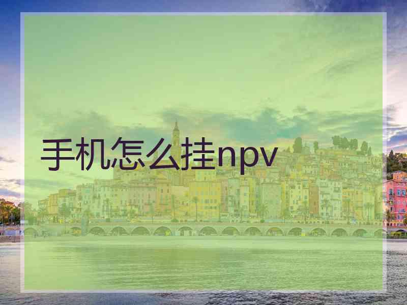 手机怎么挂npv