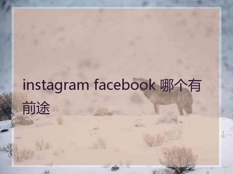 instagram facebook 哪个有前途