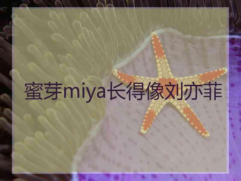 蜜芽miya长得像刘亦菲