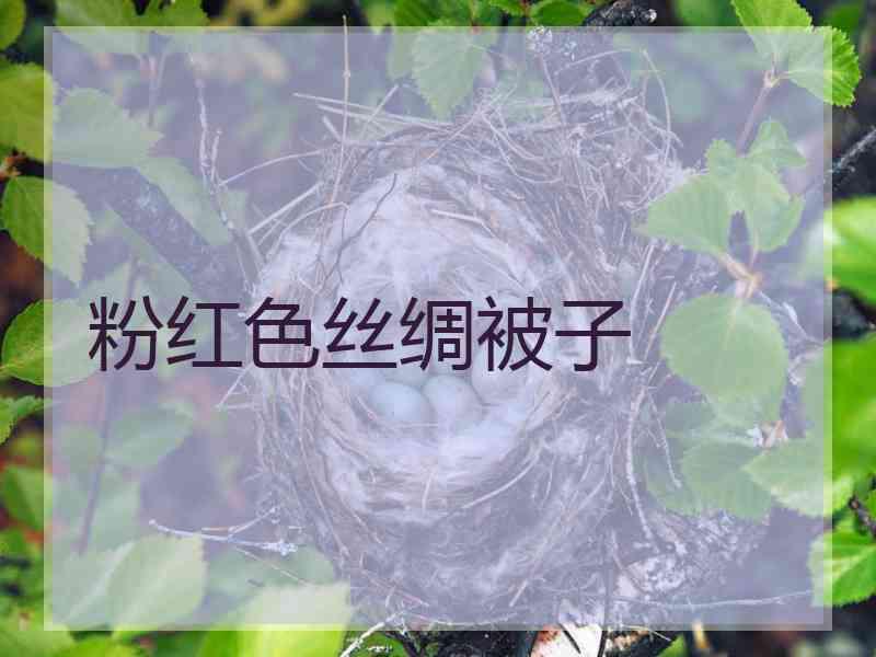 粉红色丝绸被子