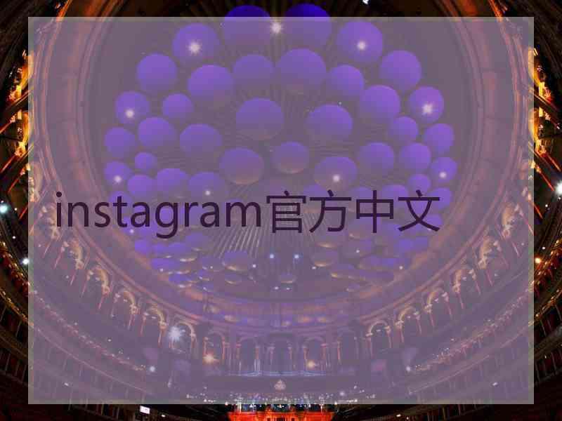 instagram官方中文