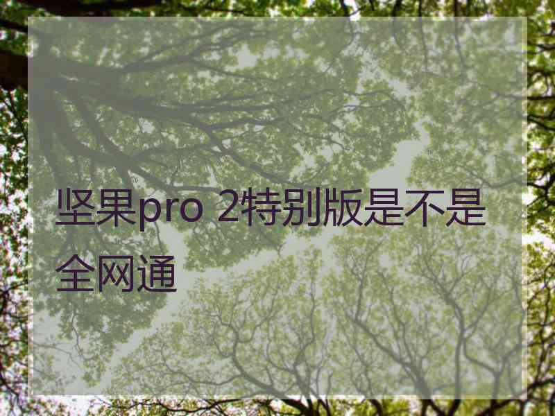 坚果pro 2特别版是不是全网通