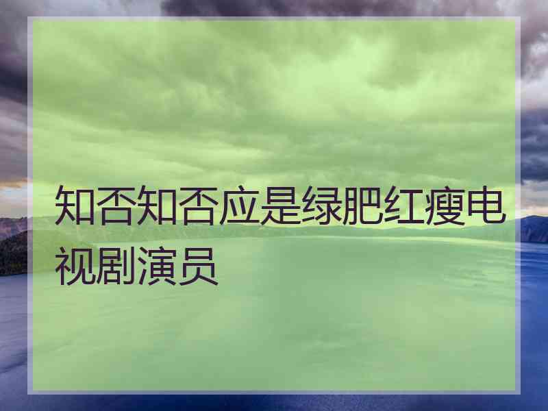 知否知否应是绿肥红瘦电视剧演员