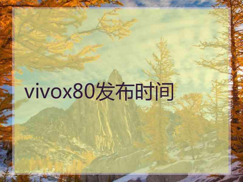 vivox80发布时间