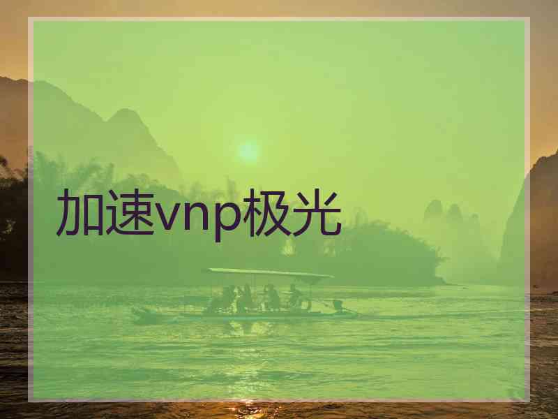 加速vnp极光