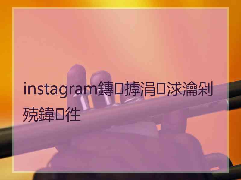 instagram鏄摢涓浗瀹剁殑鍏徃