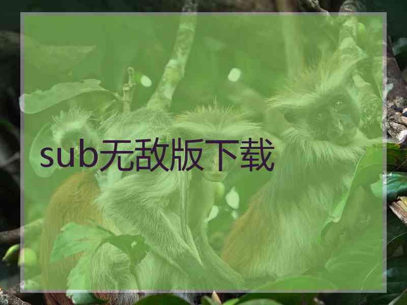 sub无敌版下载