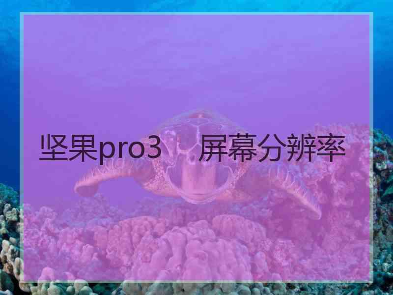 坚果pro3    屏幕分辨率