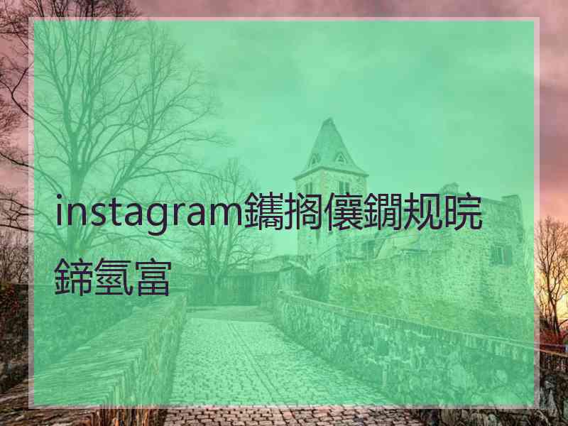 instagram鑴搁儴鐗规晥鍗氫富