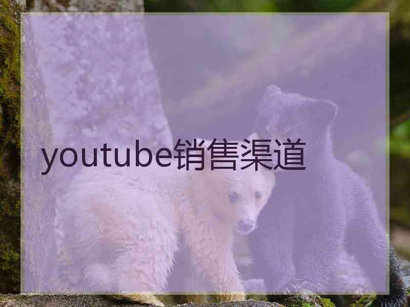 youtube销售渠道