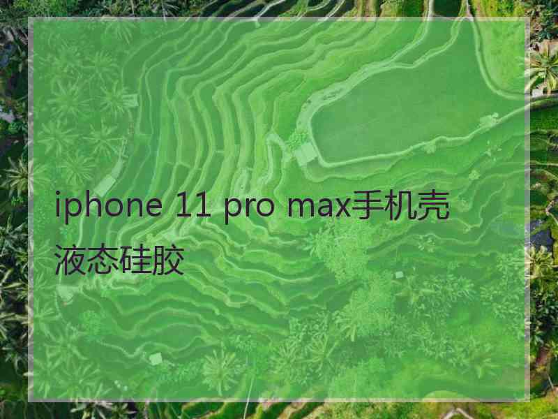 iphone 11 pro max手机壳 液态硅胶