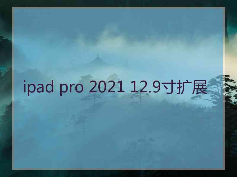 ipad pro 2021 12.9寸扩展