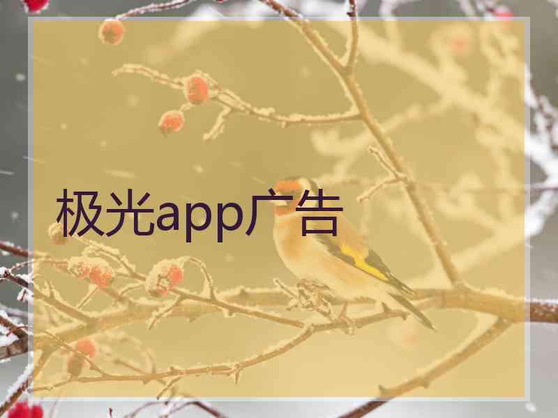 极光app广告