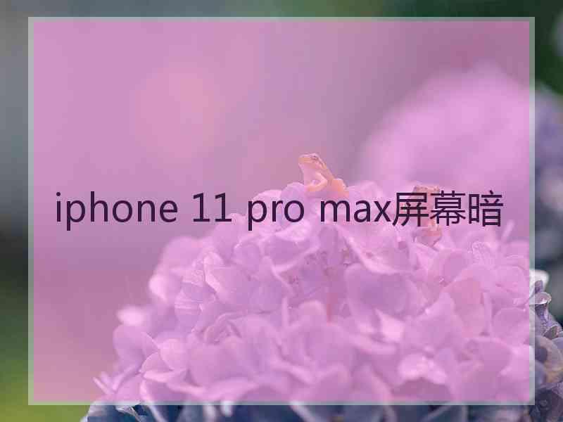 iphone 11 pro max屏幕暗