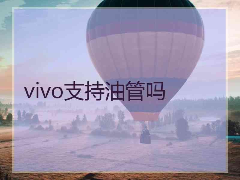 vivo支持油管吗