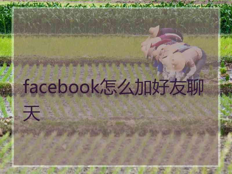 facebook怎么加好友聊天