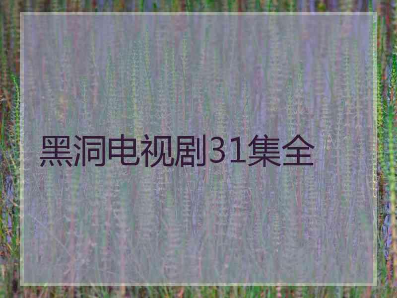 黑洞电视剧31集全