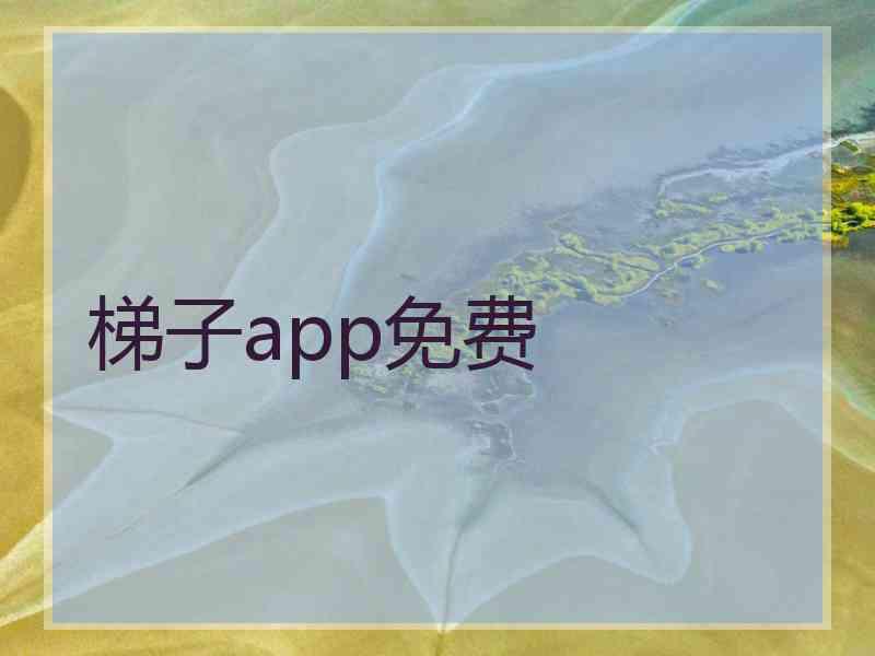 梯子app免费