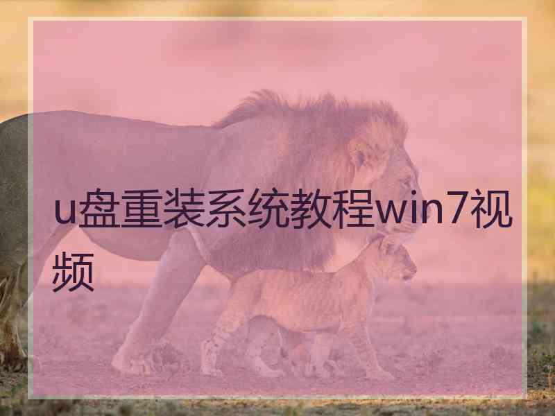 u盘重装系统教程win7视频