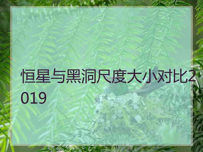 恒星与黑洞尺度大小对比2019