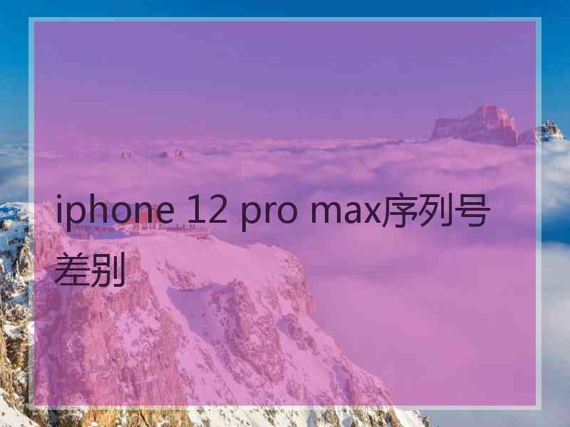 iphone 12 pro max序列号差别