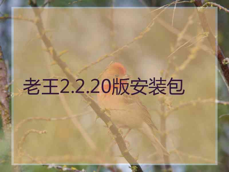 老王2.2.20版安装包