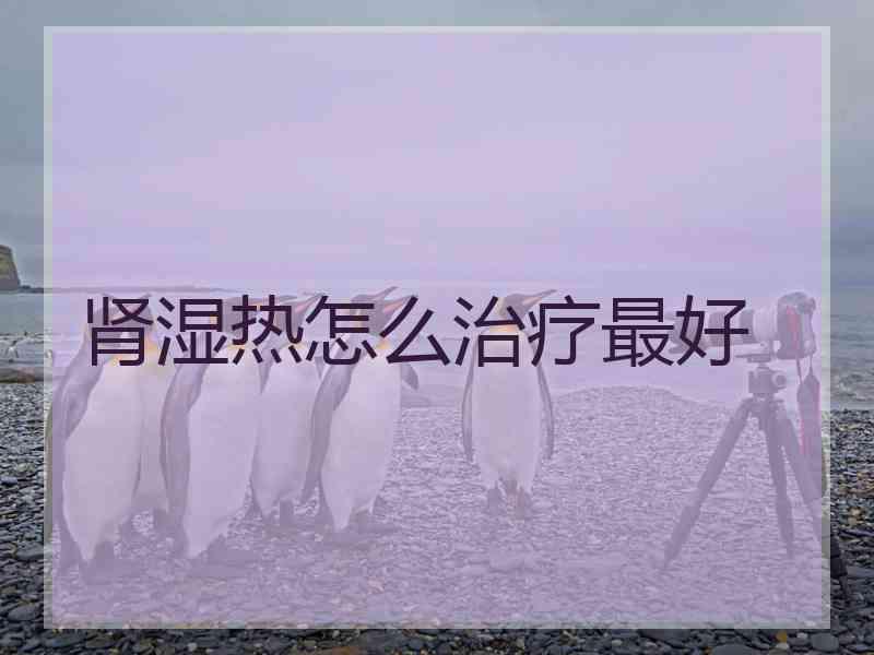 肾湿热怎么治疗最好