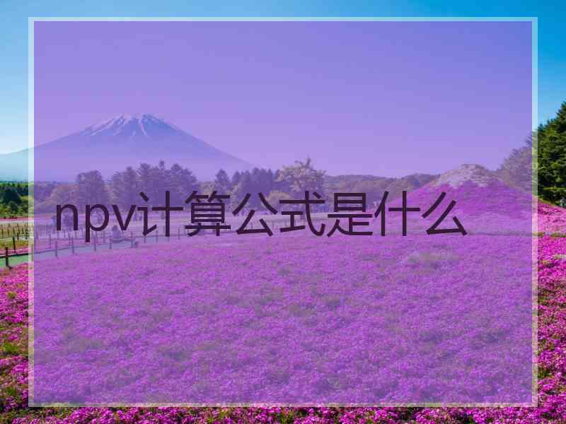 npv计算公式是什么