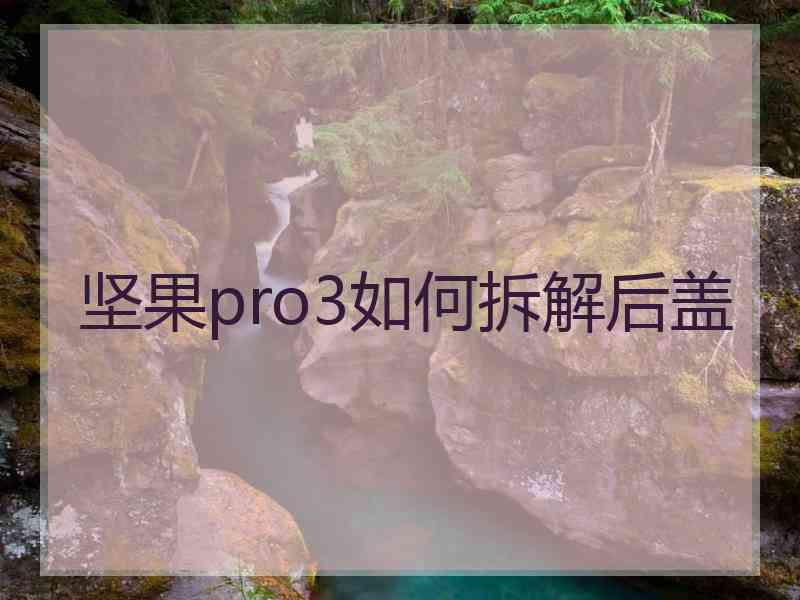 坚果pro3如何拆解后盖