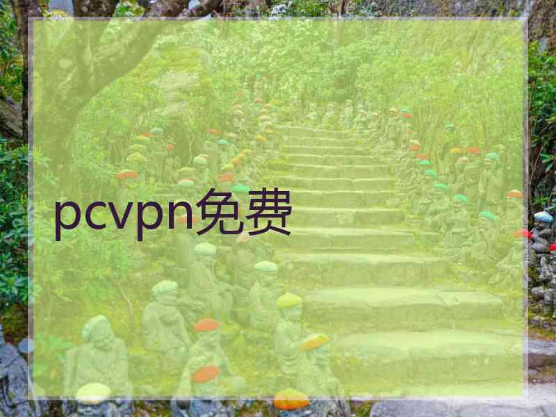 pcvpn免费