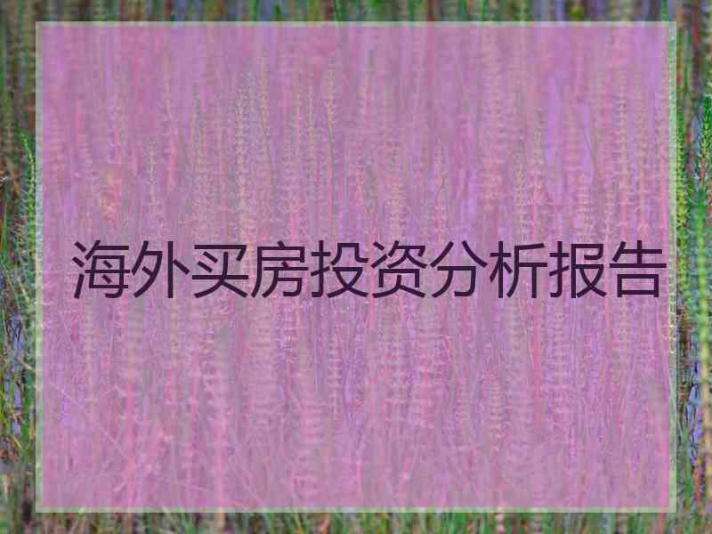 海外买房投资分析报告