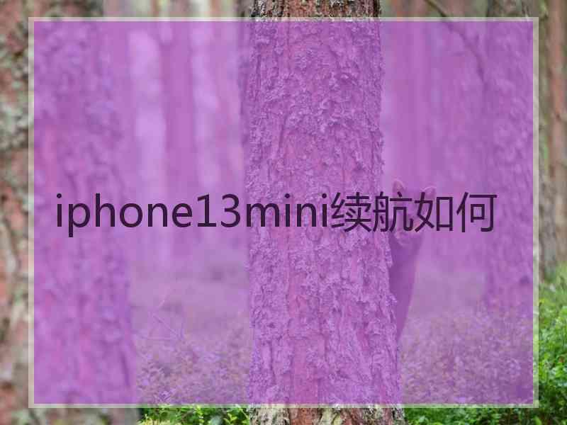 iphone13mini续航如何