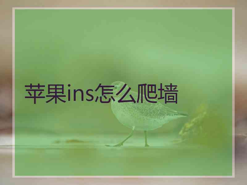 苹果ins怎么爬墙