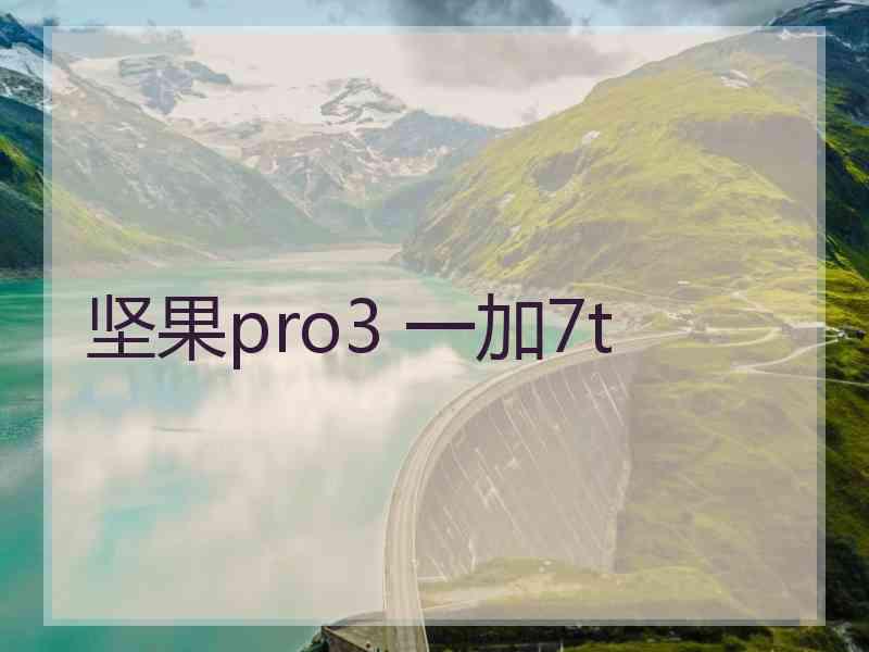 坚果pro3 一加7t