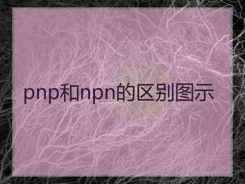 pnp和npn的区别图示