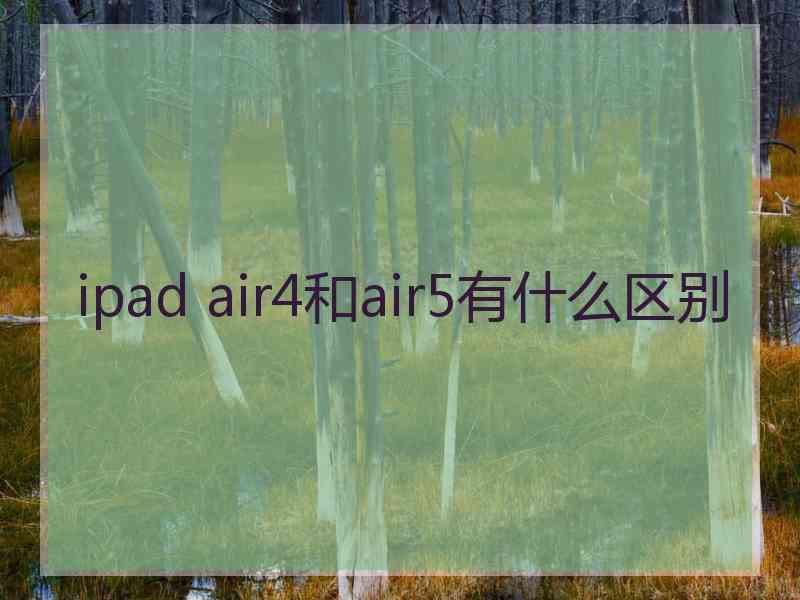 ipad air4和air5有什么区别