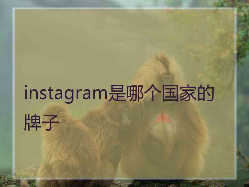 instagram是哪个国家的牌子