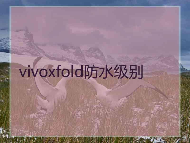 vivoxfold防水级别