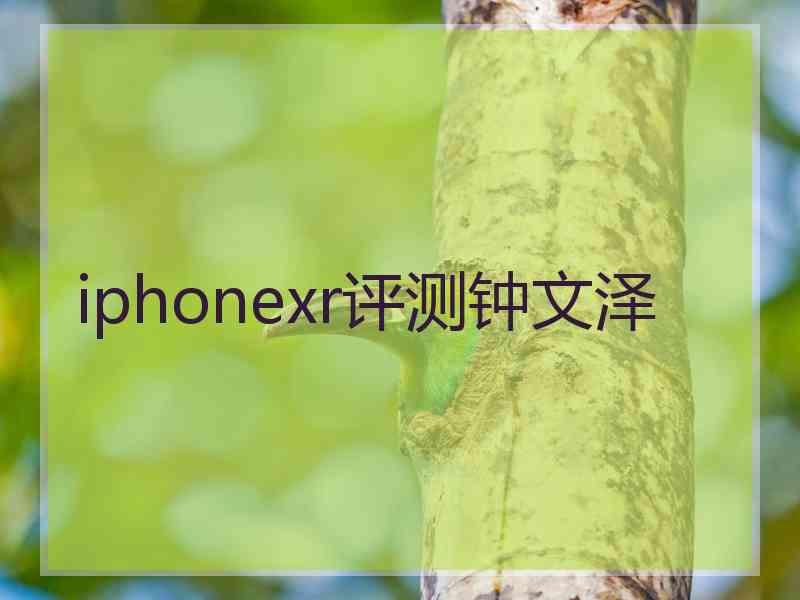 iphonexr评测钟文泽