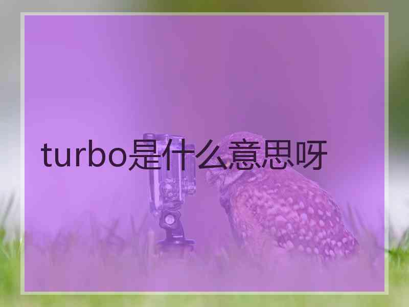 turbo是什么意思呀