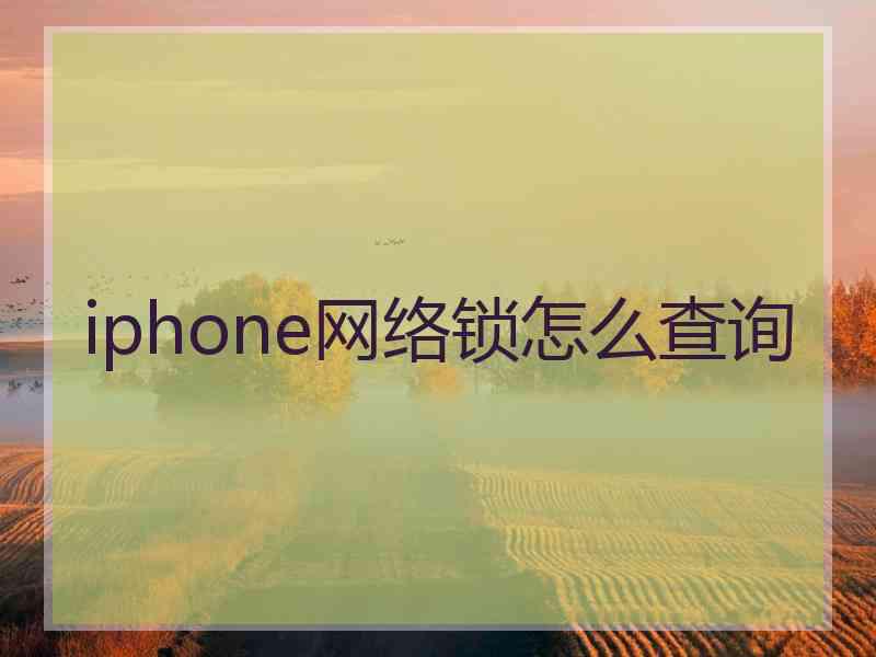 iphone网络锁怎么查询