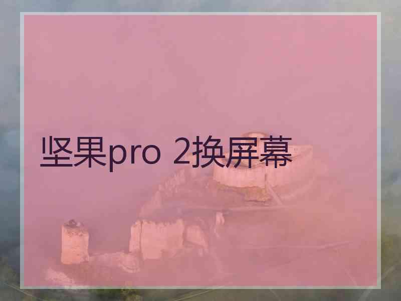 坚果pro 2换屏幕